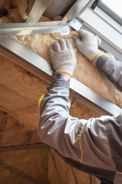 Best Professional Insulation Contractor  in Somerset, NJ